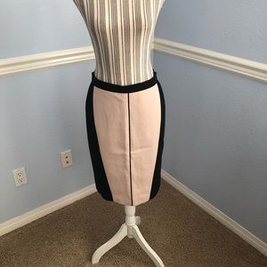 Ann Taylor two shade skirt sz 4